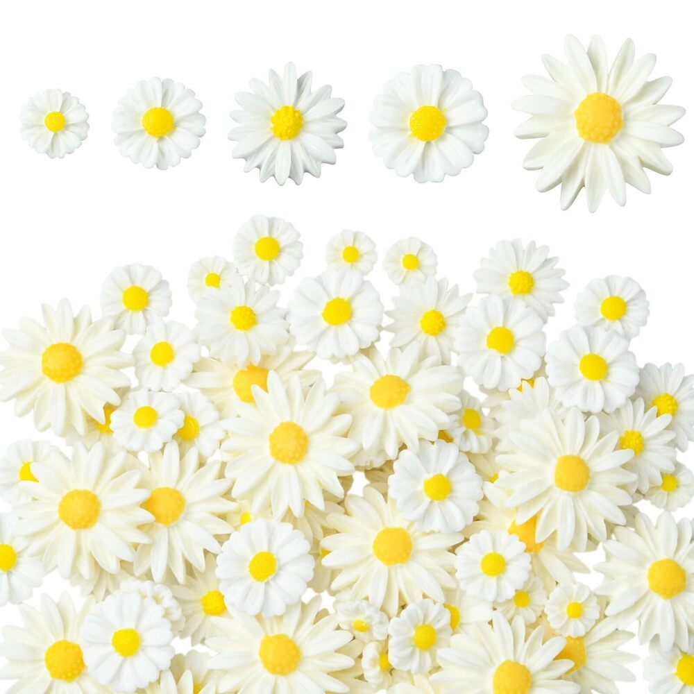 3812 100Pcs 5 Style Resin Flower Charms Flatback Daisy Cabochons